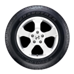 Lốp Dunlop 285/60R18 116V AT22